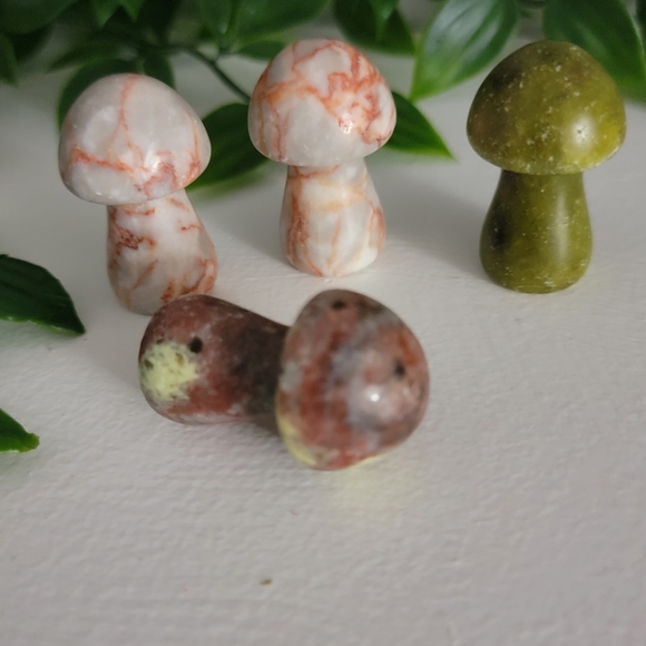 Mini mushrooms - Picture 10 of 10